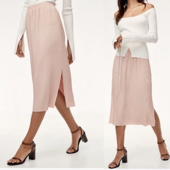 Wilfred Dresses & Skirts - 🌸SPRING CLEAR OUT🌸 Aritzia | Wilfred Celesse Midi Skirt | XS